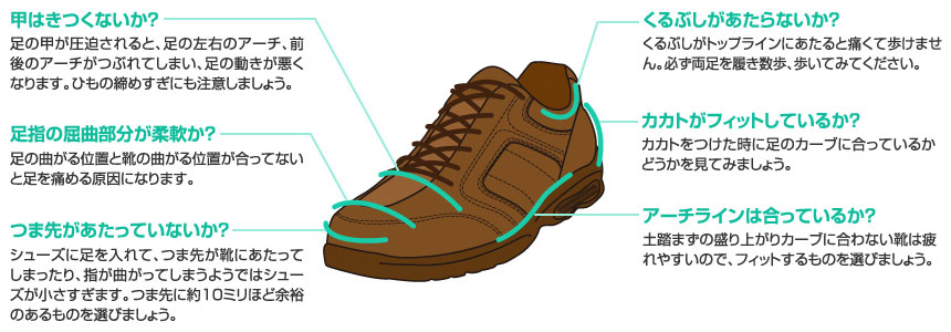 ウォーキング 靴 履き方